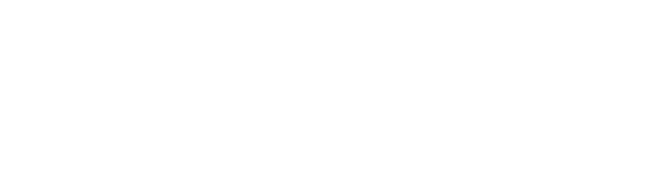 Frosunda Neg Logo