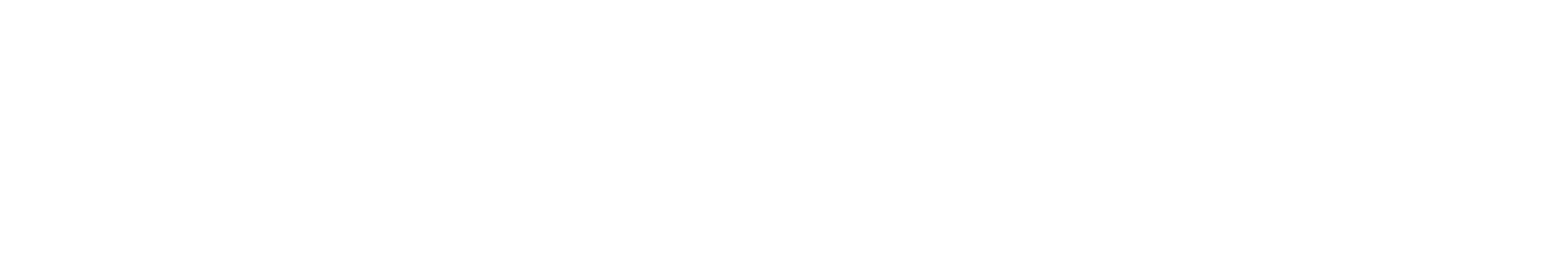 NY FRO Logo White